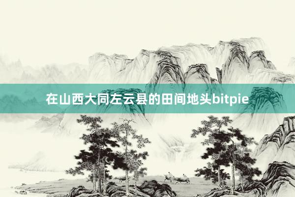 在山西大同左云县的田间地头bitpie