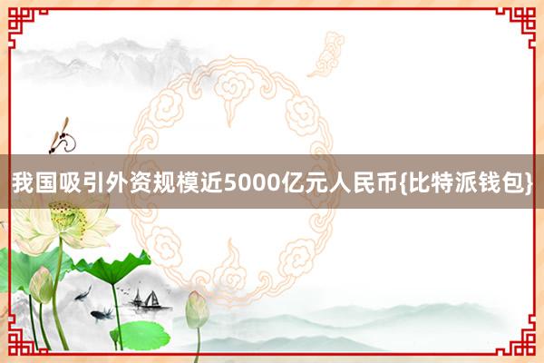 我国吸引外资规模近5000亿元人民币{比特派钱包}