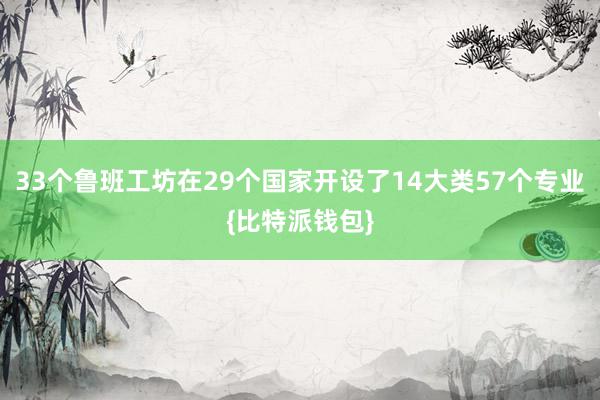 33个鲁班工坊在29个国家开设了14大类57个专业{比特派钱包}