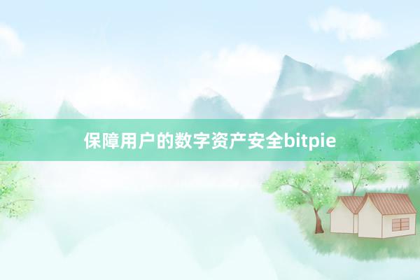 保障用户的数字资产安全bitpie