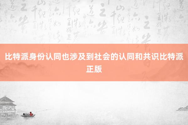 比特派身份认同也涉及到社会的认同和共识比特派正版