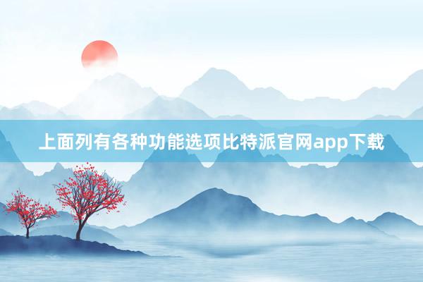 上面列有各种功能选项比特派官网app下载