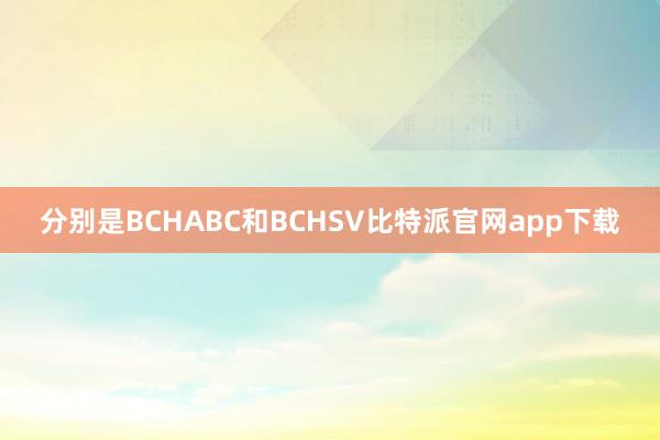 分别是BCHABC和BCHSV比特派官网app下载