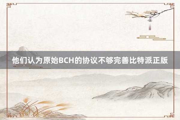 他们认为原始BCH的协议不够完善比特派正版