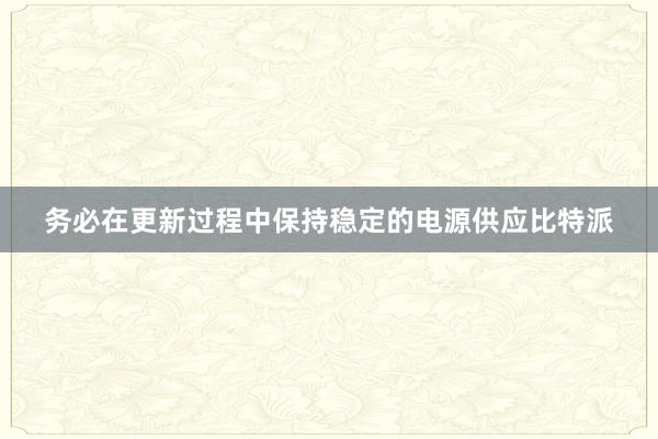 务必在更新过程中保持稳定的电源供应比特派