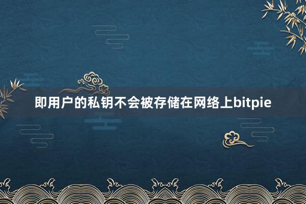 即用户的私钥不会被存储在网络上bitpie