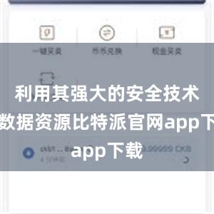 利用其强大的安全技术和数据资源比特派官网app下载