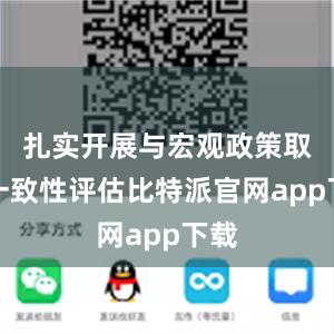 扎实开展与宏观政策取向一致性评估比特派官网app下载