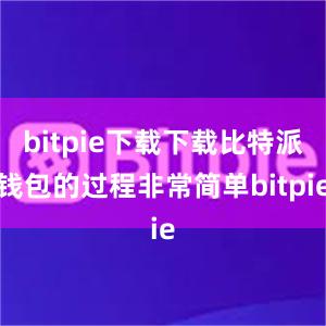 bitpie下载下载比特派钱包的过程非常简单bitpie