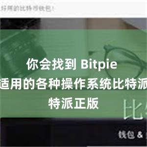 你会找到 Bitpie 钱包适用的各种操作系统比特派正版