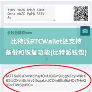 比特派BTCWallet还支持备份和恢复功能{比特派钱包}